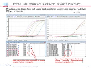 Sample to Insight
Better specificity and good improvement on negative
samples in 5-plexes vs. singleplex
Mycoplasm bovis (Green, Fam) in 5-plexes: Good consistency, sensitivity, and less cross-reactivity in
M.bovis+ in the 4-plex
TH = 0.05
A good signal and tight range in IC controls in
5-plexes. Overcome primer-probe-target
interactions in singleplex in IC.
Bovine BRD Respiratory Panel: Myco. bovis in 5-Plex Assay
Pathogen detection with HRM and multiplex RT-qPCR 36
 