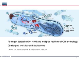 Sample to Insight
Pathogen detection with HRM and multiplex real-time qPCR technology:
Challenges, workflow and applications
1
James Qin, Senior Scientist, MDx Applications, QIAGEN
 