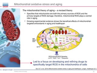 Oxidative Stress in Aging and Human Diseases - Exploring the Mechanisms ...