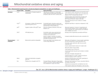 Oxidative Stress in Aging and Human Diseases - Exploring the Mechanisms ...