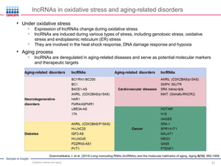 Oxidative Stress in Aging and Human Diseases - Exploring the Mechanisms ...