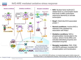 Oxidative Stress in Aging and Human Diseases - Exploring the Mechanisms ...