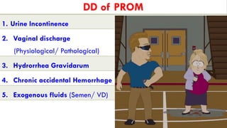 Prom Liminal Prelabor rupture of membranes,(PROM)-Dr- Ahmed-Walid Anwar Morad-1 ...