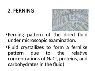 PREMATURE RAPTURE OF MEMBRANES 2025.pptx