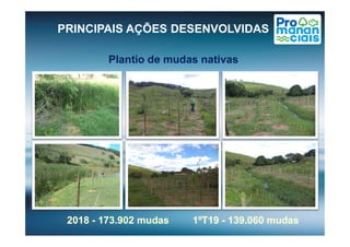 Plantio de mudas nativas
PRINCIPAIS AÇÕES DESENVOLVIDAS
20182018 -- 173.902 mudas173.902 mudas20182018 -- 173.902 mudas173.902 mudas 1ºT191ºT19 -- 139.060 mudas139.060 mudas1ºT191ºT19 -- 139.060 mudas139.060 mudas
 