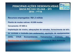 Recursos empregados: R$1,3 milhão
Plantio de mudas nativas: 43.000 mudas
Cercamento: 67.000 m
PRINCIPAIS AÇÕES DESENVOLVIDAS
BACIA RIO DAS VELHAS – SF5
2018 – 1ºT19
Implantação de viveiro, adequações de estradas, fornecimento de kit’s
de combate a incêndio (em andamento), aquisição de equipamentos
(SAS), CHUÁ Socioambiental, Treinamentos (Colmeia, etc),
Mobilizações no Dia Mundial da Água e Semana do Meio Ambiente.
 