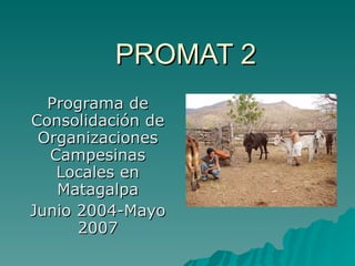 PROMAT 2 Programa de Consolidación de Organizaciones Campesinas Locales en Matagalpa Junio 2004-Mayo 2007 