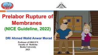 Prelabor Rupture of
Membranes
(NICE Guideline, 2022)
DR/ Ahmed Walid Anwar Morad
Professor of OB/GYN
Faculty of Medicine
Benha University
2023
 