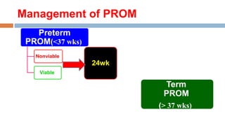 Prelabor Rupture of Membranes NICE Guideline 2022 Dr Ahmed Walid-1.pptx