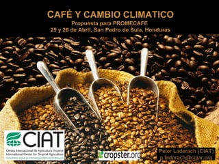 C AFÉ Y CAMBIO CLIMATICO Propuesta para PROMECAFE  25 y 26 de Abril, San Pedro de Sula, Honduras Peter Laderach (CIAT) ‏ [email_address] 