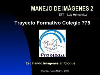 MANEJO DE IMÁGENES 2 ETT – Luis Hernández Trayecto Formativo Colegio 775 Escalando imágenes en bloque 
