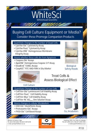 WhiteSci
                                          Whitehead Scientific




        Buying Cell Culture Equipment or Media?
               Consider these Promega Companion Products
          Quantitate Changes in the number of Dead Cells
                         ™
          • CytoTox-Glo Cytotoxicity Assay
                            ™
          • CytoTox-Fluor Cytotoxicity Assay
                           ™
          • CytoTox-ONE Homogeneous Membrane
            Integrity Assay
          Assess whether these cells die from Apoptosis
          • Caspase-Glo® Assays
                   ®
          • ApoONE Homogeneous Caspase 3/7 Assay
                    ™
          • DeadEnd TUNEL Assays                                        Biological
                    ™
          • CaspACE FITC-VAD-FMK in Situ Marker                       Safety Hoods


                                                       Treat Cells &
                                                  Assess Biological Effect
                         Cell Culture
          Quantitate Changes in the number of Live Cells
          • CellTiter-Glo® Luminescent Cell Viability Assay
          • CellTiter-Fluor™ Cell Viability Assay
                           ®
          • CellTiter-Blue Cell Viability Assay
          • CellTiter 96® AQueous One Solution Assay
           Assess changes in cellular Metabolism
           • GSH-Glo™ Glutathione Assay
                             ™
           • Proteasome-Glo Assays
                     ™
           • P450-Glo Cell Based Assays                              Co2 Incubators


Western & Eastern Cape                                              Gauteng, KZN, Free State & Limpopo
TEL (021) 944 6460, FAX (021) 949 5478                            TEL (011) 894 2214, FAX (011) 894 4583
e-mail penny@whitesci.co.za                                                 e-mail luzaan@whitesci.co.za

                                             www.whitesci.co.za
                                                                                            P.T.O
 
