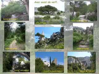 Avec aussi du vert…
En Vau
Sentier du Président
Vallon des Escampons
Au mont Puget
Vallon de l’herbe Vallon de l’herbe
Sentier du Président
Sentier du Président Sentier du Président
Sommet de Marseilleveyre
 