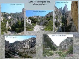 Dans les Calanques, des
vallons cachés…
Vallon du Miougranier
Vallon de la Garenne
Vallon de l’Agneau
Vallon de Sainte Marthe
Couloir du Candélon
 