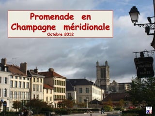 Promenade en
Champagne méridionale
Octobre 2012
 