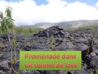 Promenade tunnel 2004