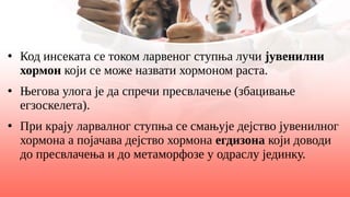 ●
Код инсеката се током ларвеног ступња лучи јувенилни
хормон који се може назвати хормоном раста.
●
Његова улога је да спречи пресвлачење (збацивање
егзоскелета).
●
При крају ларвалног ступња се смањује дејство јувенилног
хормона а појачава дејство хормона егдизона који доводи
до пресвлачења и до метаморфозе у одраслу јединку.
 