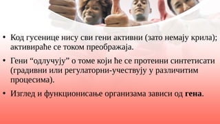 ●
Код гусенице нису сви гени активни (зато немају крила);
активираће се током преображаја.
●
Гени “одлучују” о томе који ће се протеини синтетисати
(градивни или регулаторни-учествују у различитим
процесима).
●
Изглед и функционисање организама зависи од гена.
 