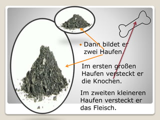  Dann bildet er
zwei Haufen.
Im ersten großen
Haufen versteckt er
die Knochen.
Im zweiten kleineren
Haufen versteckt er
das Fleisch.
 