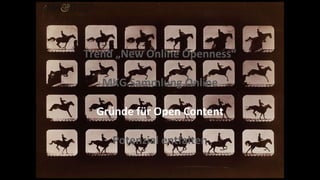 Trend „New Online Openness“
MKG Sammlung Online
Gründe für Open Content
Potenzial entfalten
 