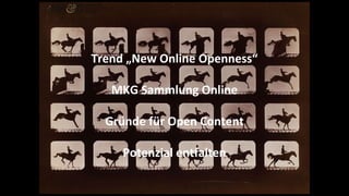 Trend „New Online Openness“
MKG Sammlung Online
Gründe für Open Content
Potenzial entfalten
 