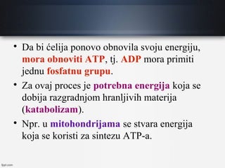 
Da bi ćelija ponovo obnovila svoju energiju,
mora obnoviti ATP, tj. ADP mora primiti
jednu fosfatnu grupu.

Za ovaj proces je potrebna energija koja se
dobija razgradnjom hranljivih materija
(katabolizam).

Npr. u mitohondrijama se stvara energija
koja se koristi za sintezu ATP-a.
 