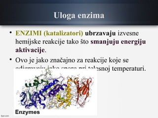 Uloga enzima

ENZIMI (katalizatori) ubrzavaju izvesne
hemijske reakcije tako što smanjuju energiju
aktivacije.

Ovo je jako značajno za reakcije koje se
odigravaju jako sporo pri telesnoj temperaturi.
 