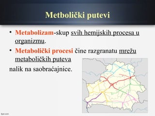 Metbolički putevi
• Metabolizam-skup svih hemijskih procesa u
organizmu.
• Metabolički procesi čine razgranatu mrežu
metaboličkih puteva
nalik na saobraćajnice.
 