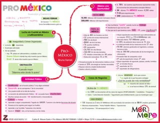 Mapa-Resumen ProMéxico