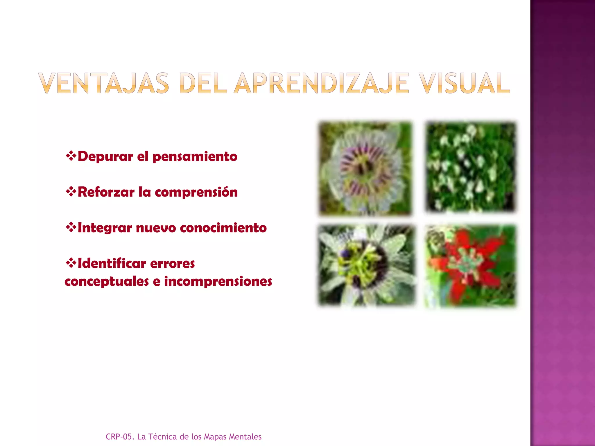 Depurar el pensamiento

Reforzar la comprensión

Integrar nuevo conocimiento

Identificar errores
conceptuales e incomprensiones




     CRP-05. La Técnica de los Mapas Mentales
 