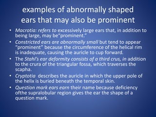 examples of abnormally shaped
ears that may also be prominent
• Macrotia: refers to excessively large ears that, in addition to
being large, may be“prominent.”
• Constricted ears are abnormally small but tend to appear
“prominent” because the circumference of the helical rim
is inadequate, causing the auricle to cup forward.
• The Stahl’s ear deformity consists of a third crus, in addition
to the crura of the triangular fossa, which traverses the
scapha.
• Cryptotia describes the auricle in which the upper pole of
the helix is buried beneath the temporal skin.
• Question mark ears earn their name because deficiency
ofthe supralobular region gives the ear the shape of a
question mark.
 