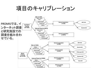 項目のキャリブレーション
45
PROMISでは、イ
ンターネット調査
と研究施設での
調査を組み合わ
せている。
 