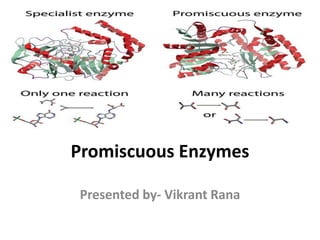 Promiscuous Enzymes
Presented by- Vikrant Rana
 