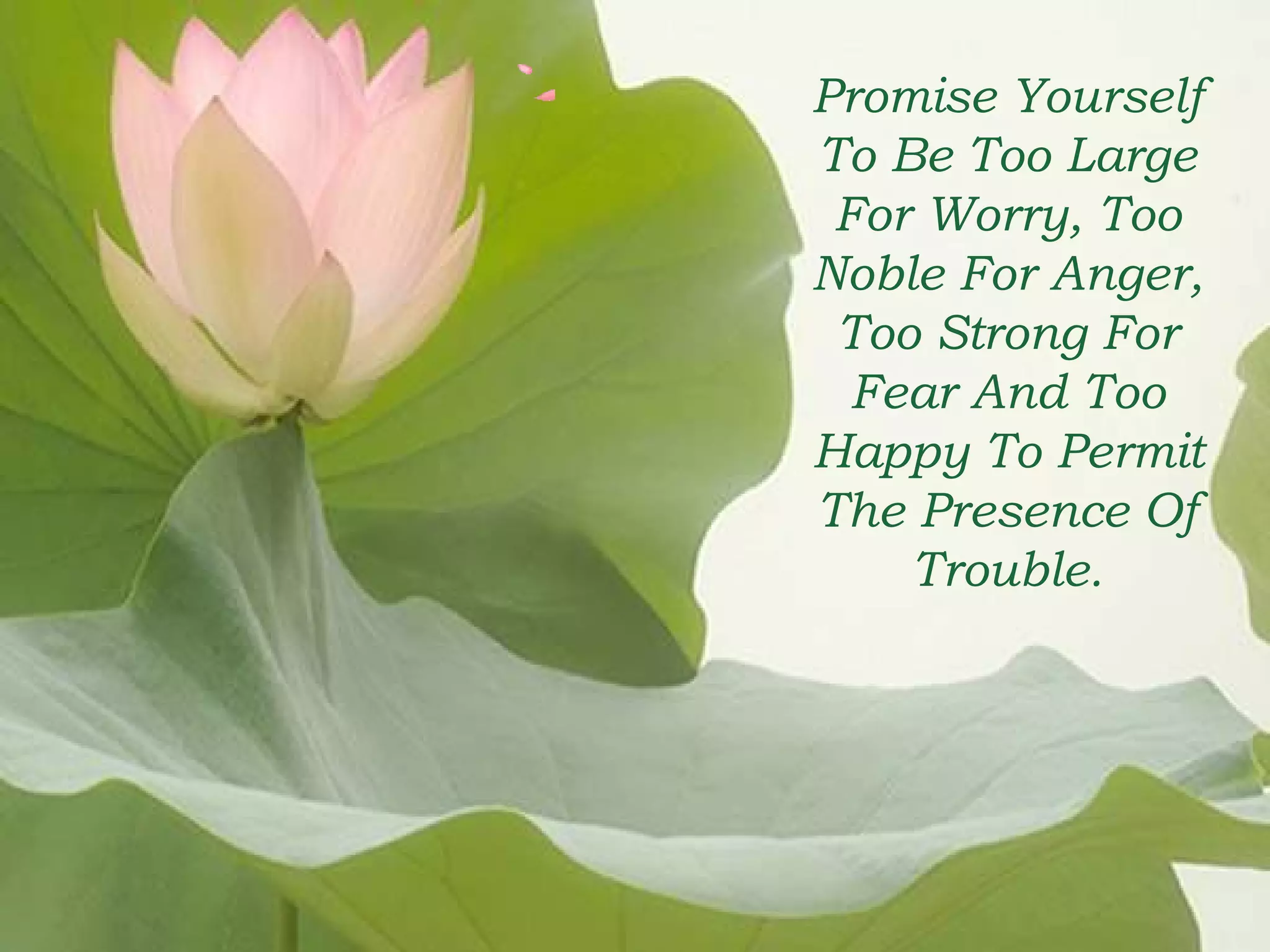 Promise Yourself 
To Be Too Large 
For Worry, Too 
Noble For Anger, 
Too Strong For 
Fear And Too 
Happy To Permit 
The Presence Of 
Trouble. 
 