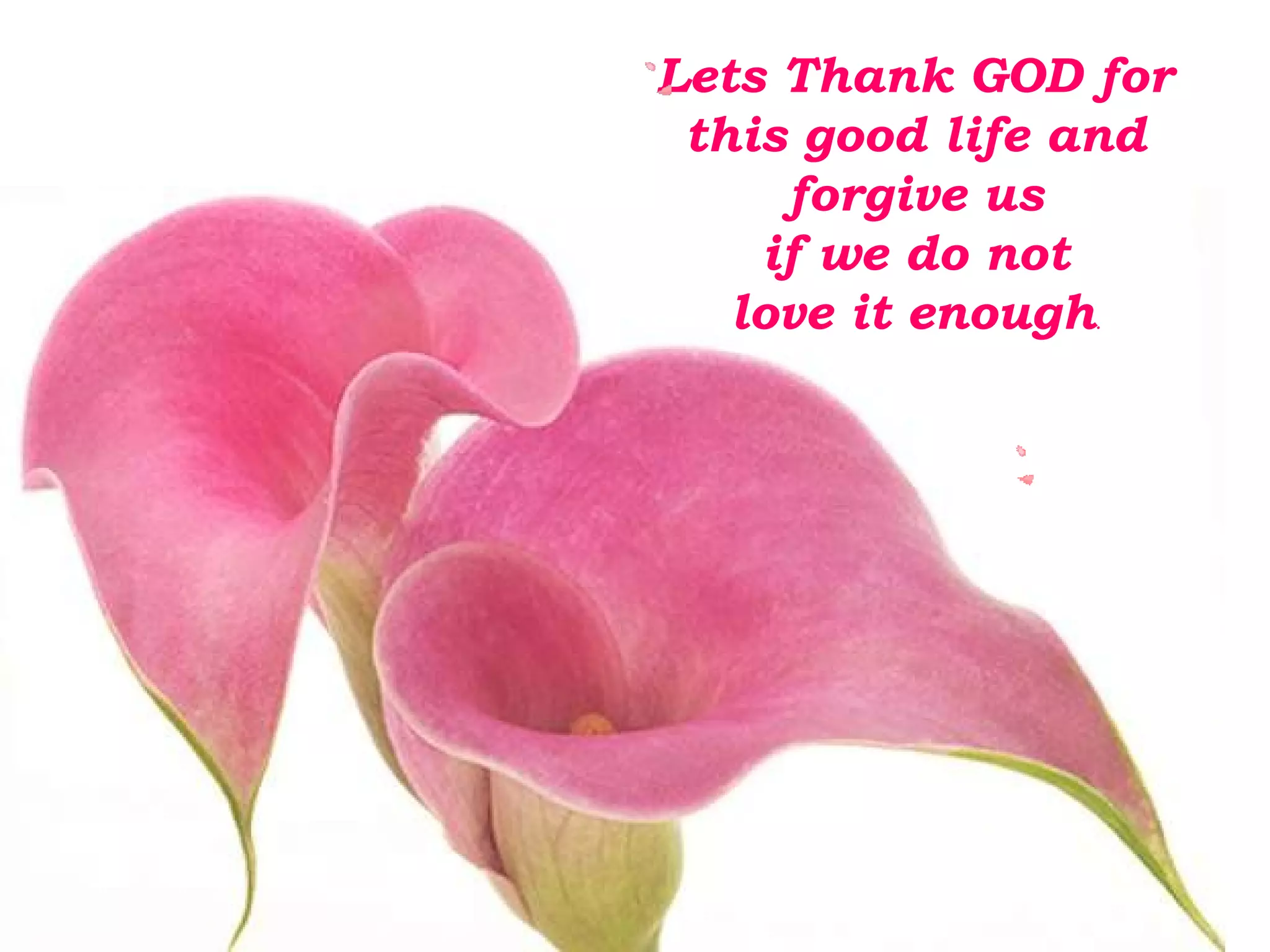 Lets Thank GOD for 
this good life and 
forgive us 
if we do not 
love it enough. 
