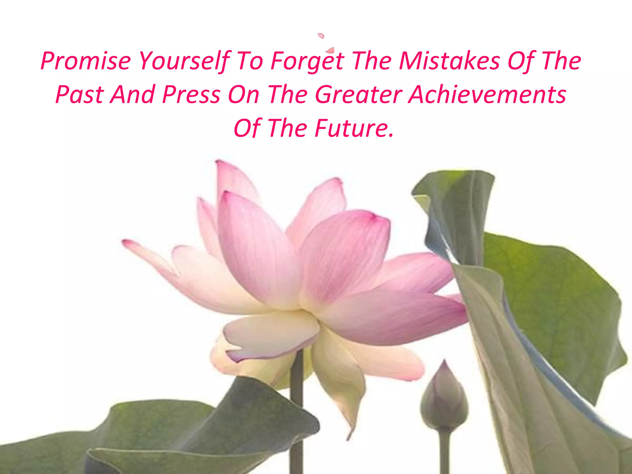 Promise Yourself To Forget The Mistakes Of The 
Past And Press On The Greater Achievements 
Of The Future. 
 