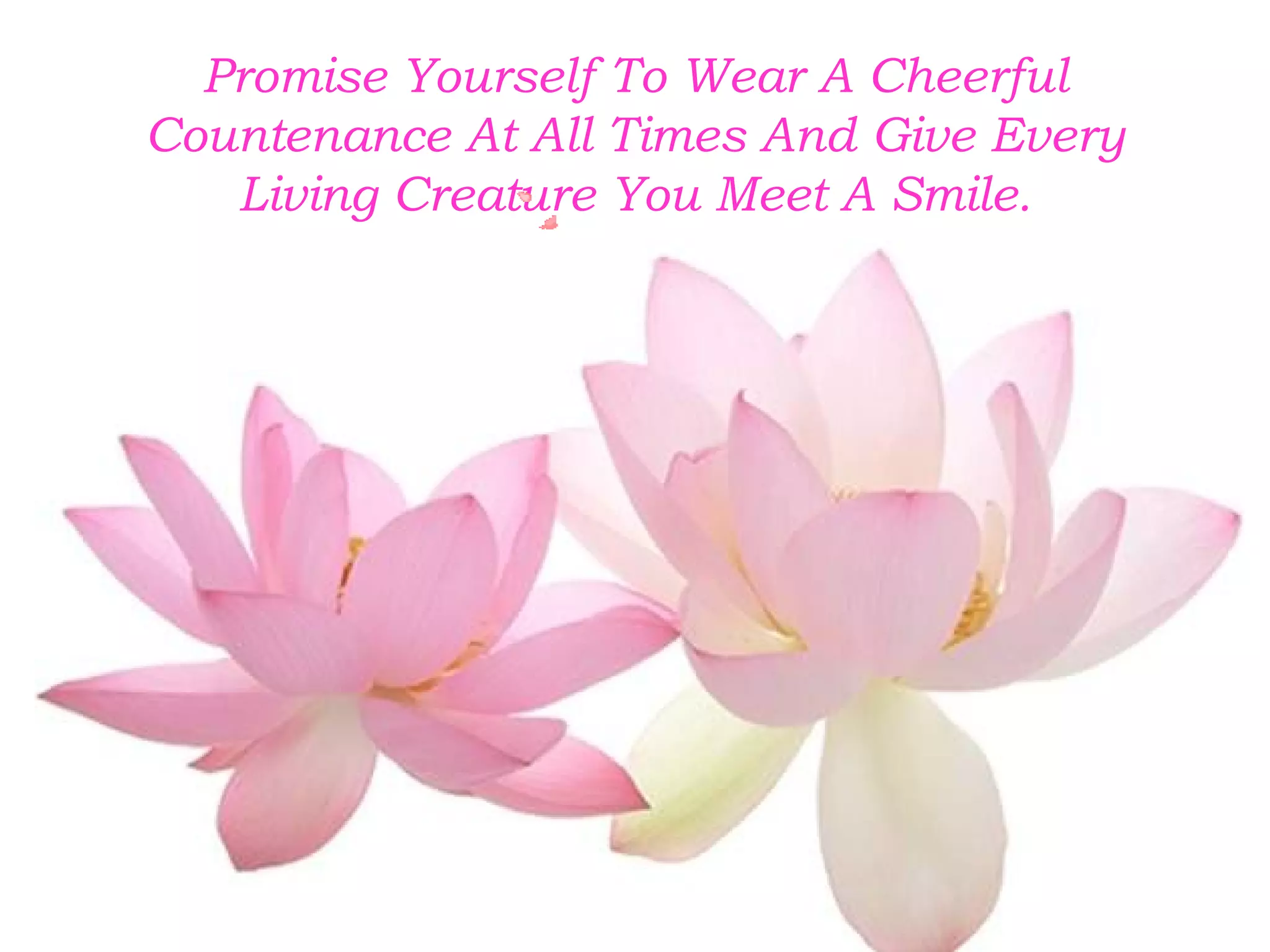 Promise Yourself To Wear A Cheerful 
Countenance At All Times And Give Every 
Living Creature You Meet A Smile. 
 