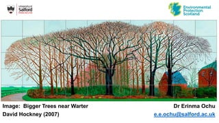 Dr Erinma Ochu
e.e.ochu@salford.ac.uk
Image: Bigger Trees near Warter
David Hockney (2007)
 