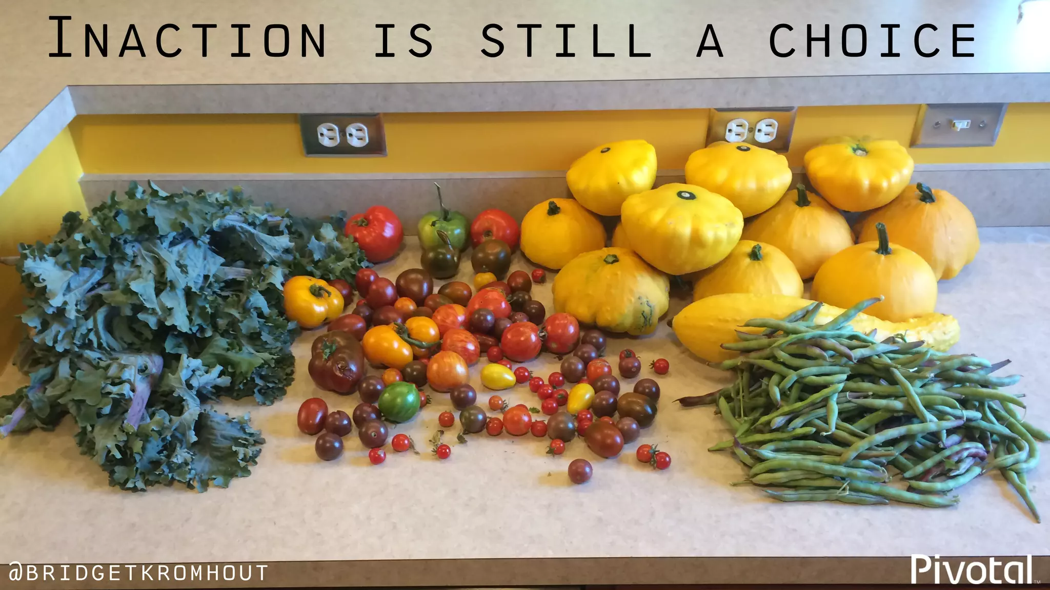 @bridgetkromhout
Inaction is still a choice
 