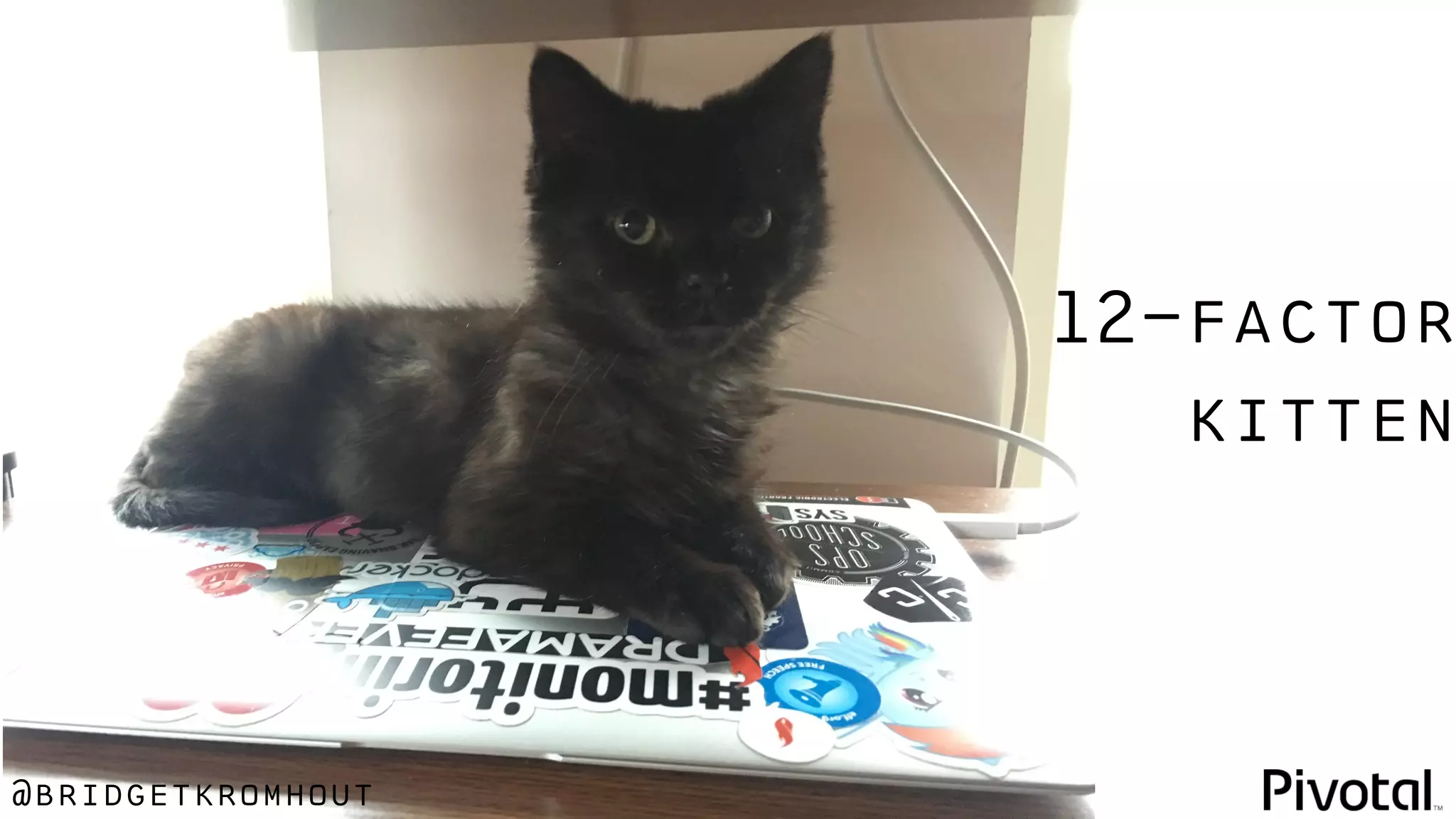 @bridgetkromhout
12-factor
kitten
 