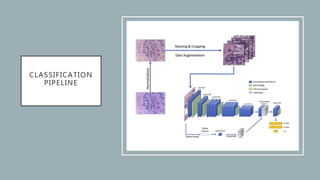Promise of ai in improving cancer diagnosis and management | PPTX