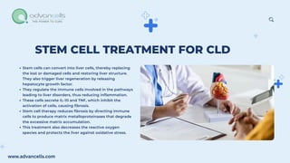 Promise of Stem Cell Therapy in Chronic Liver Disease.pdf