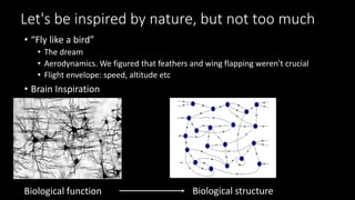 Let's be inspired by nature, but not too much
• “Fly like a bird”
• The dream
• Aerodynamics. We figured that feathers and wing flapping weren't crucial
• Flight envelope: speed, altitude etc
• Brain Inspiration
Biological function Biological structure
 