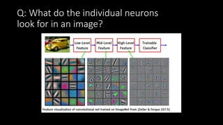 Q: What do the individual neurons
look for in an image?
 
