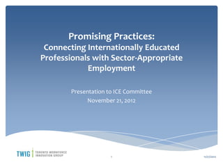 Promising Practices:
 Connecting Internationally Educated
Professionals with Sector-Appropriate
            Employment

       Presentation to ICE Committee
             November 21, 2012




                     1                  11/27/2012
 