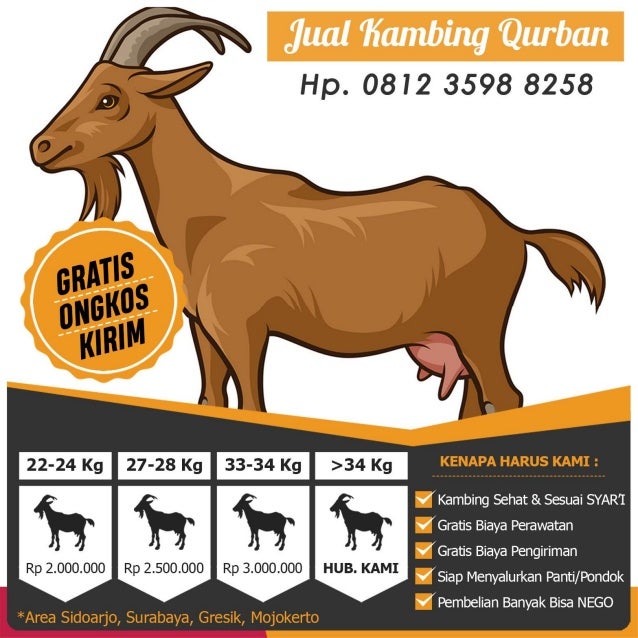 Promo, 0812 3598 8258 (telp/wa), jual hewan qurban di gresik