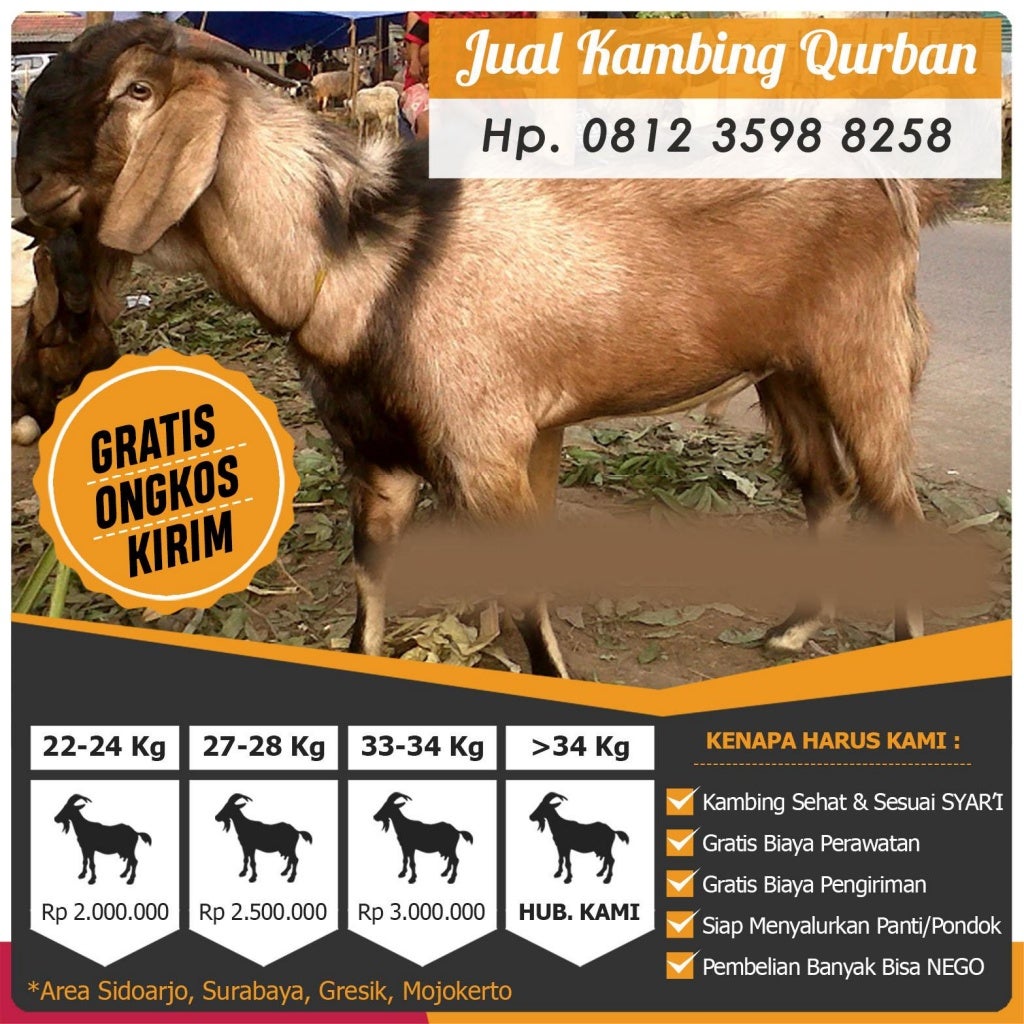 Promo Jual Wajan Teflon Surabaya Promo Jual Wajan Teflon Surabaya