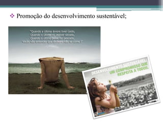  Promoção do desenvolvimento sustentável;
 