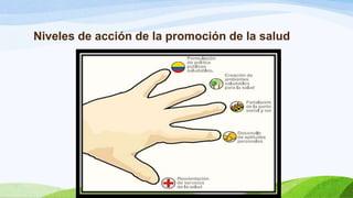 Niveles de acción de la promoción de la salud

 