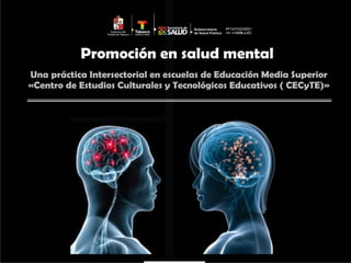 Promoción en salud mental
Una práctica Intersectorial en escuelas de Educación Media Superior
«Centro de Estudios Culturales y Tecnológicos Educativos ( CECyTE)»
 